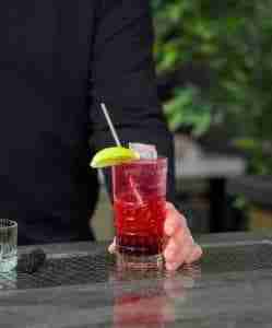 blackberry tonic